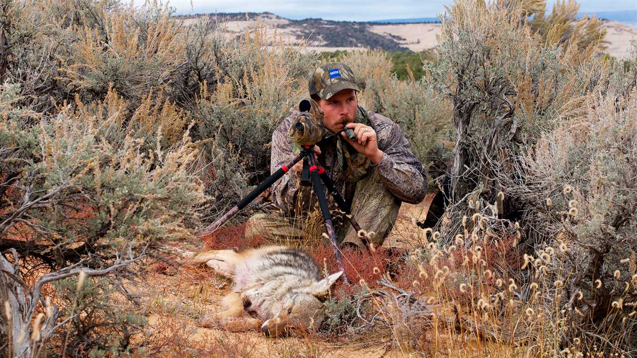 Essential Gear for Predator Hunting the West