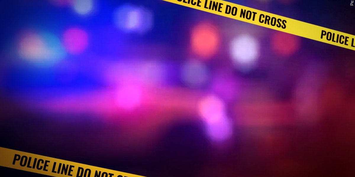 Man kills stepfather before killing himself