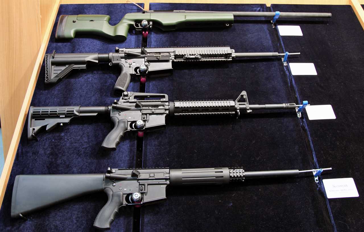 The 5 Best Sporting Rifles in the World (The AR-15 and the AK-47 Made the Cut)