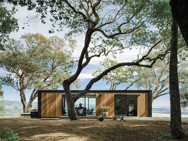 Canada looking at ‘variety of options’ for planned firearm buyback program: Mendicino – National