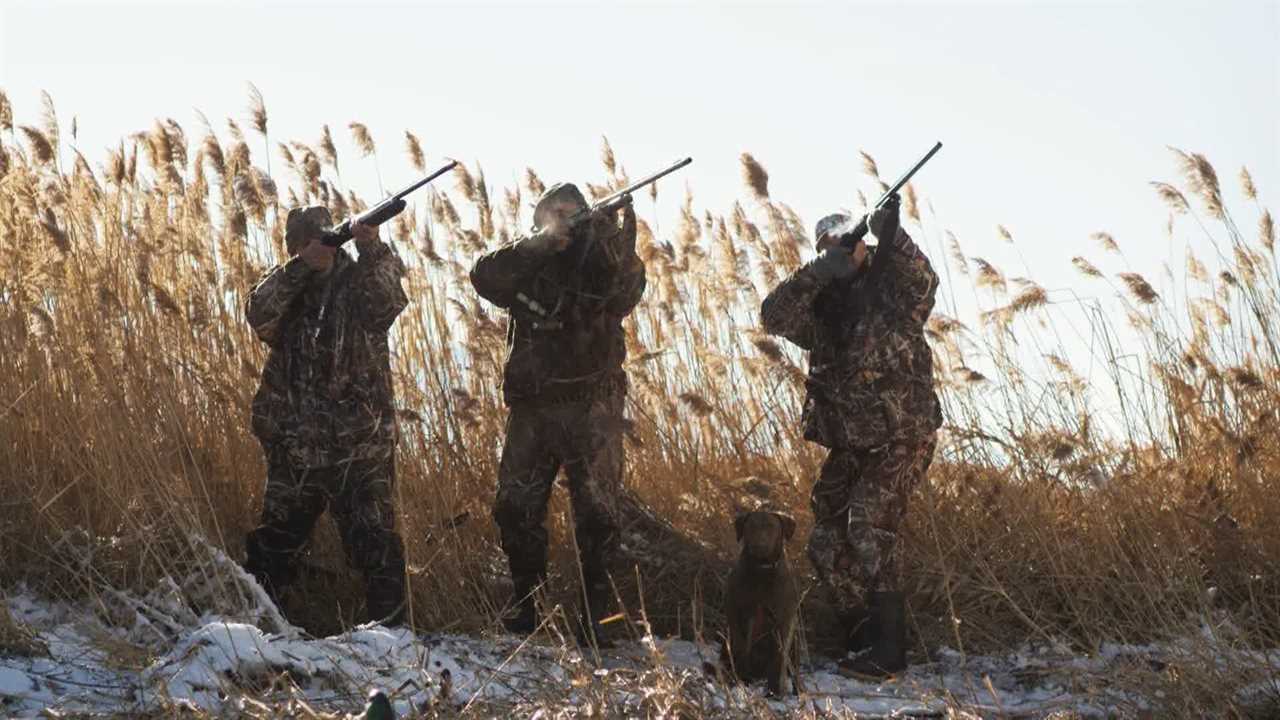 Click to play video: 'Saskatchewan's chief firearms officer concerned over C-21 amendments'