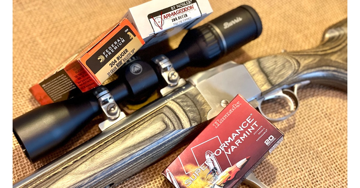 Tiny & Fast :: Guns.com