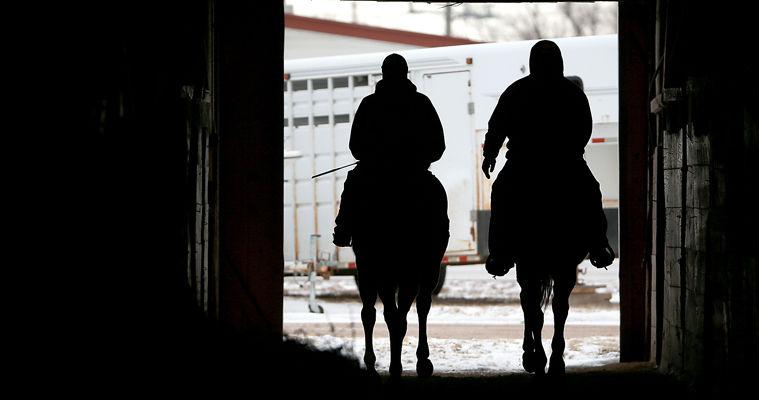Judge Bill developed into top stud producing top Nebraska-bred foals