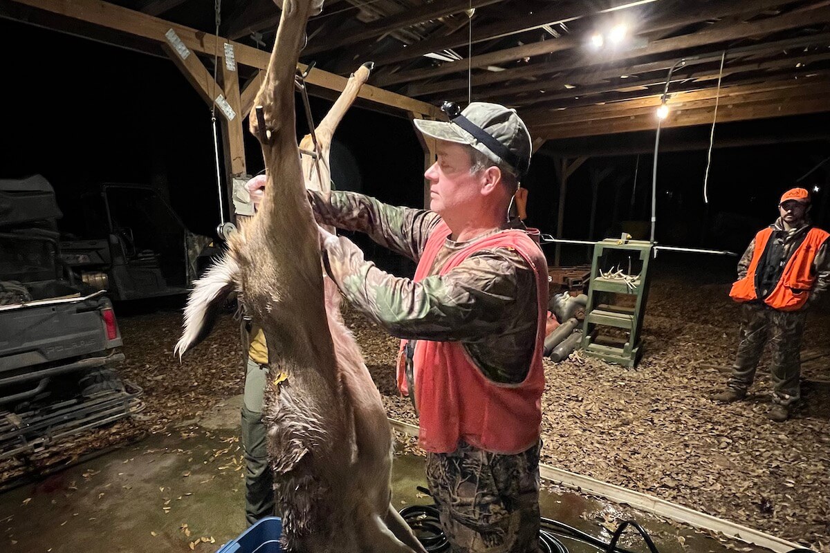 dressing deer