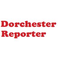 Police probing firearms incidents in Fields Corner